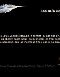 ego ul in conflict