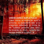 VINDECAREA SUFLETULUI